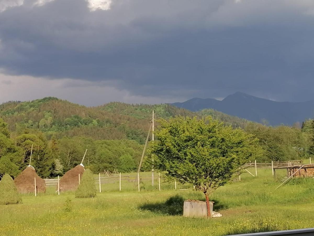 Pensiunea Freya Colibiţa Εξωτερικό φωτογραφία